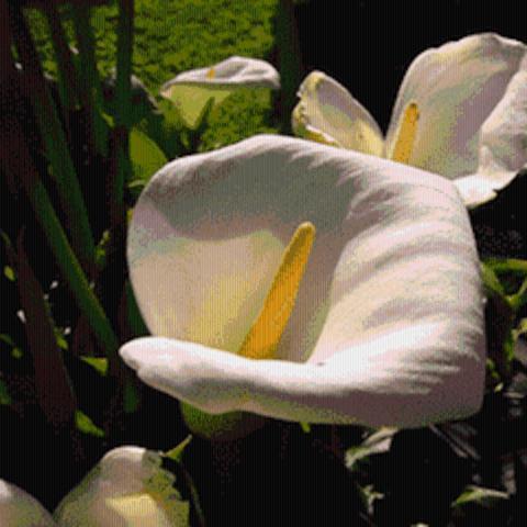 The Grange Bed & Breakfast St Austell Bagian luar foto